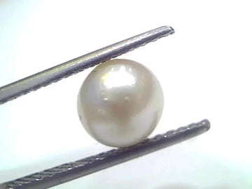 3.32 Ct Natural Certified Real South Sea Pearl Certified Moti