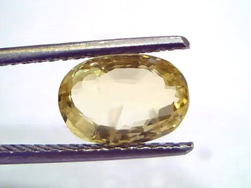 3.10 Ct GII Certified Unheated Untreated Natural Ceylon Yellow Sapphire