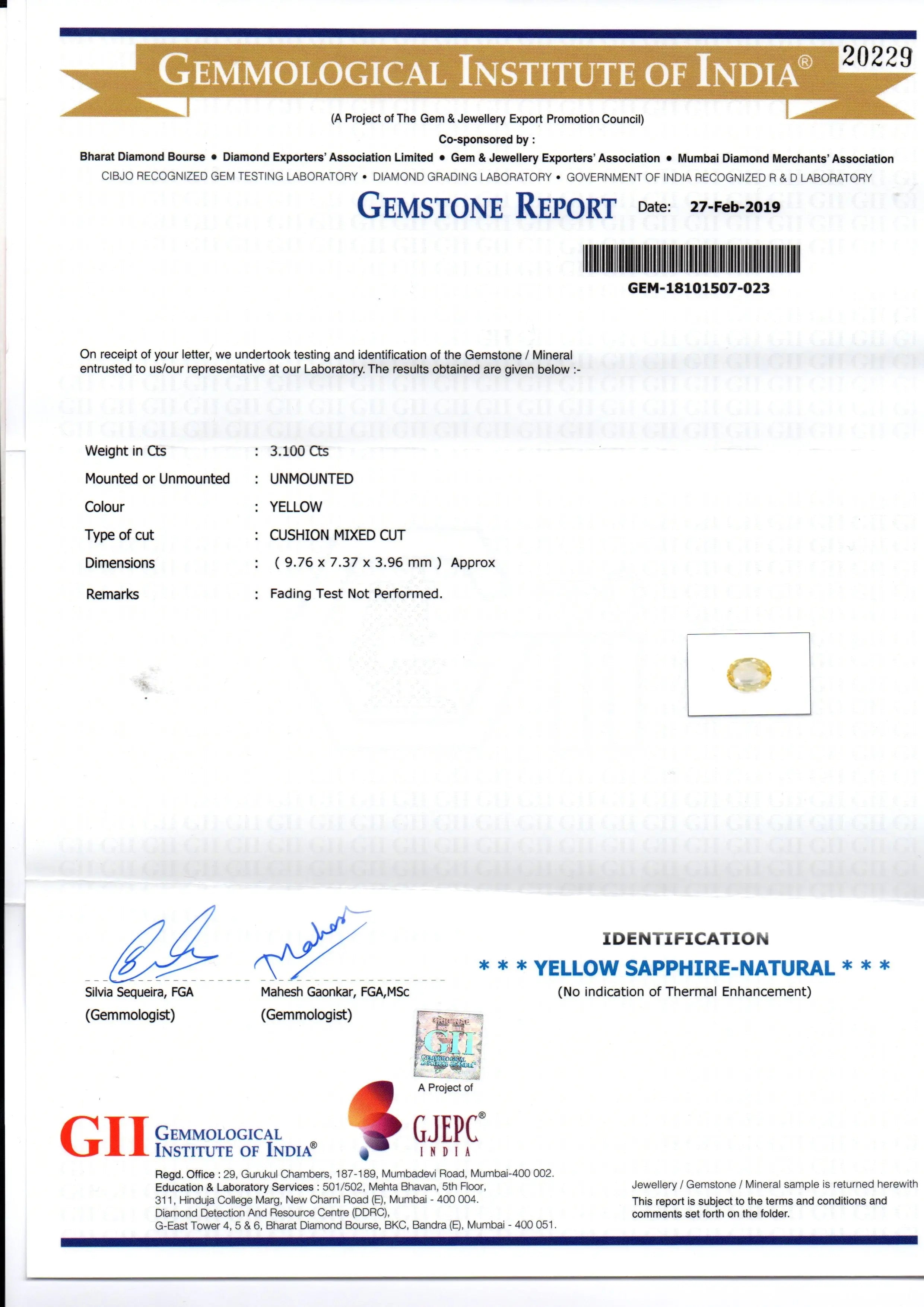 3.10 Ct GII Certified Unheated Untreated Natural Ceylon Yellow Sapphire
