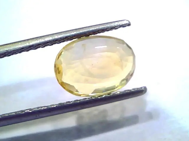 3.10 Ct Unheated Untreated Natural Ceylon Yellow Sapphire Gems