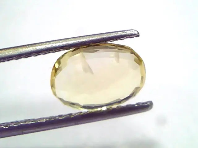 3.10 Ct GII Certified Unheated Untreated Natural Ceylon Yellow Sapphire