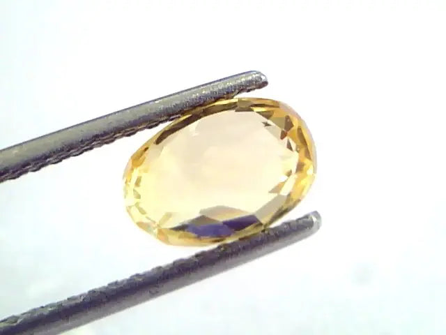 3.11 Ct IGI Certified Unheated Untreated Natural Ceylon Yellow Sapphire