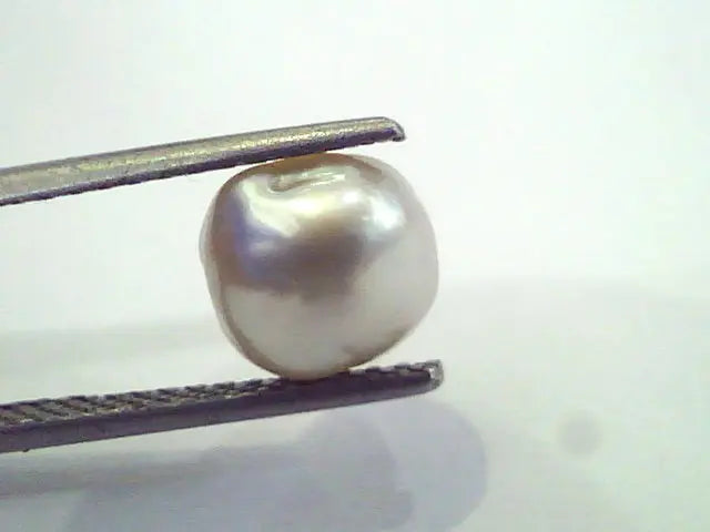 3.11 Ct Certified Natural Venunjula Real Pearl/Real Moti For Moon