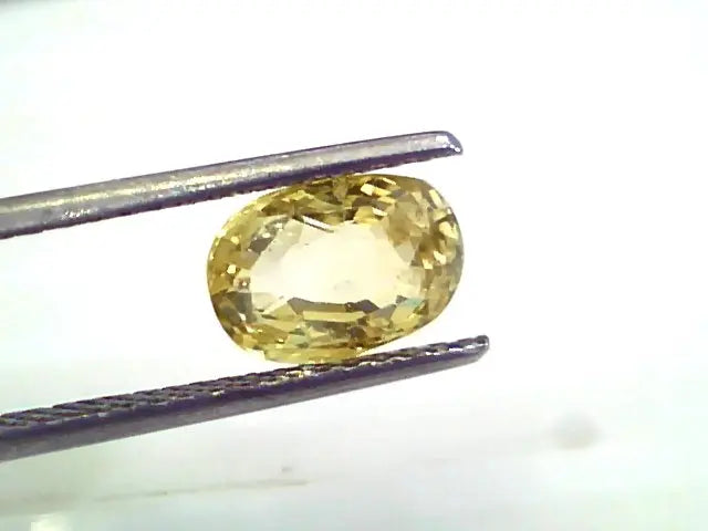 3.14 Ct 5.25 Ratti Unheated Untreated Natural Ceylon Yellow Sapphire