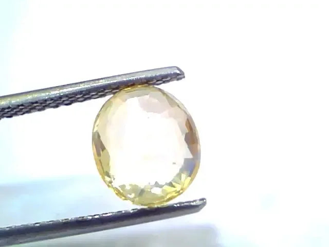 3.13 Ct Certified Unheated Untreated Natural Ceylon Yellow Sapphire - Venus Gems