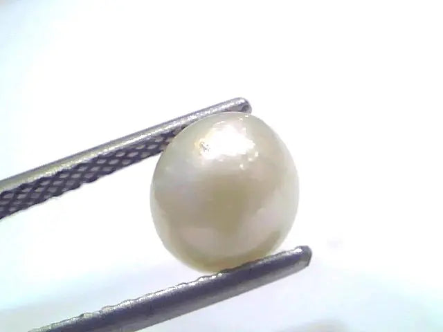 3.34 Ct Natural Certified Real South Sea Pearl Certified Moti