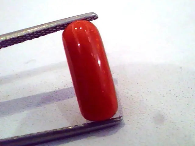 3.15 Carat Natural Italian Red Coral Moonga Gemstone