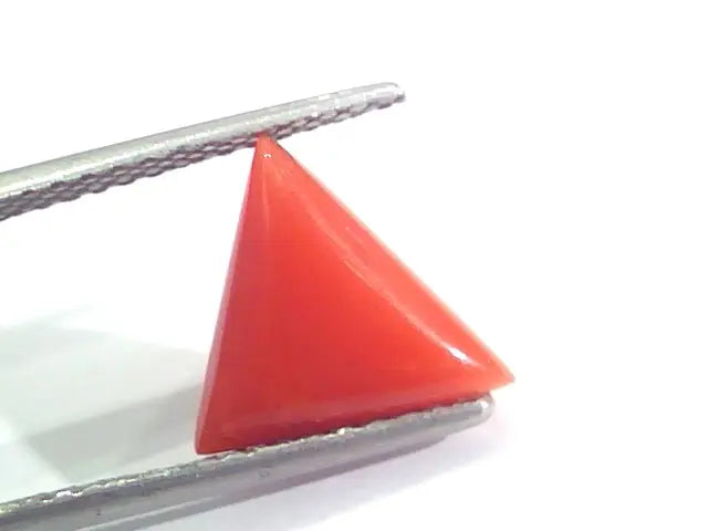 3.20 Ct 5.3 Ratti Natural Italian Triangle Red Coral Moonga Gemstone