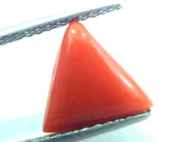 3.17 Carat Natural Italian Triangle Red Coral Moonga Gemstone