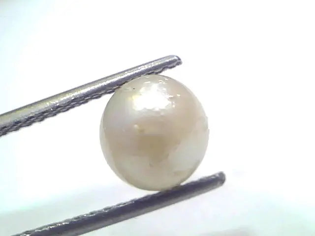 3.37 Ct Natural Certified Real South Sea Pearl Certified Moti