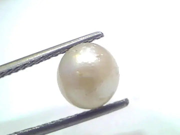 3.37 Ct Natural Certified Real South Sea Pearl Certified Moti