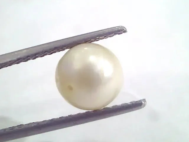 4.69 Ct Natural Certified Real South Sea Pearl,Certified Moti - Venus Gems