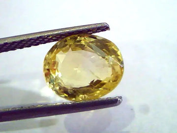 3.20 Ct 5.25 Ratti Unheated Untreated Natural Ceylon Yellow Sapphire