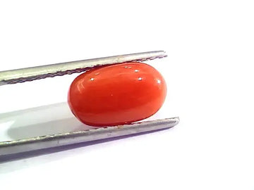3.21 Carat Natural Italian Red Coral Moonga Gemstone