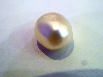 3.23 Ct Certified Real Pearl From Venunjula,Real Natural Moti