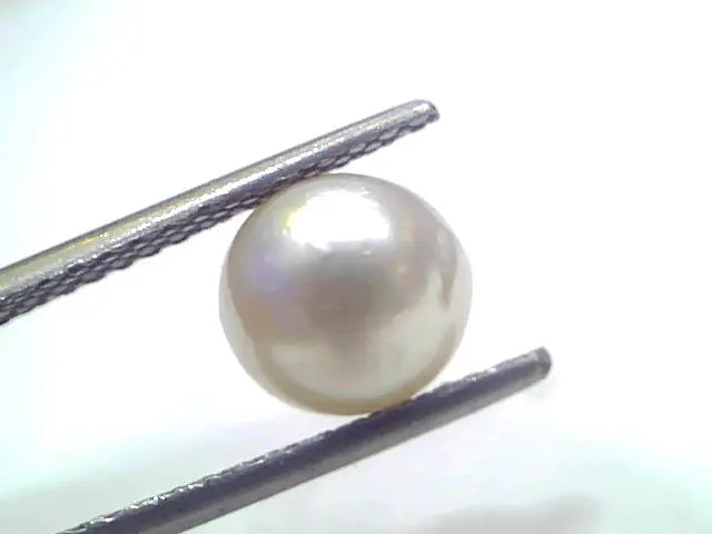 3.44 Ct Natural Certified Real South Sea Pearl Certified Moti