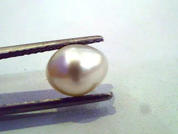 3.28 Ct Certified Natural Venunjula Real Pearl/Real Moti