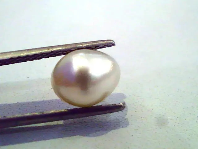 3.28 Ct Certified Natural Venunjula Real Pearl/Real Moti