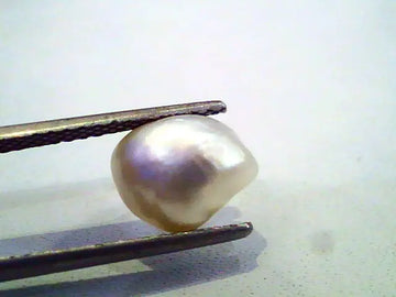 3.33 Ct Certified Natural Venunjula Real Pearl/Real Moti