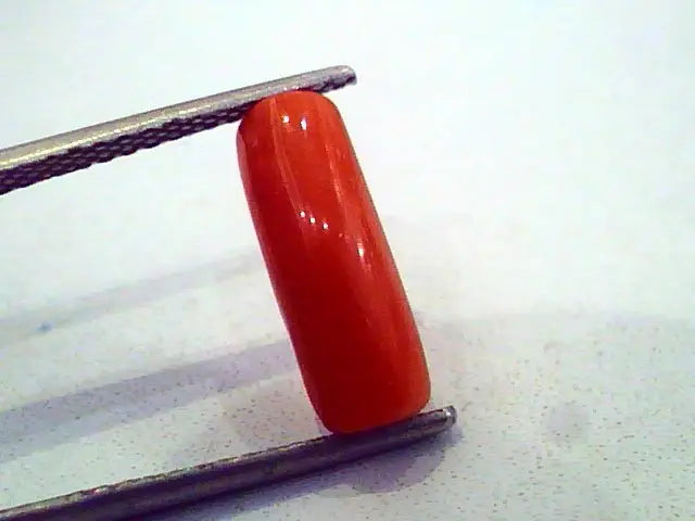 3.33 Carat Natural Italian Red Coral Moonga Gemstone