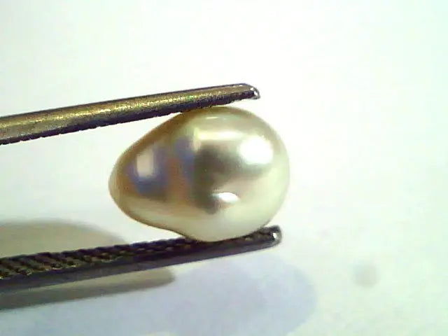 3.34 Ct Certified Natural Venunjula Real Pearl/Real Moti For Moon