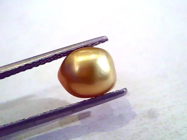 3.34 Ct Certified Natural Venunjula Real Pearl/Real Moti