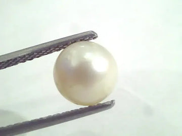 4.70 Ct Natural Certified Real South Sea Pearl,Certified Moti - Venus Gems