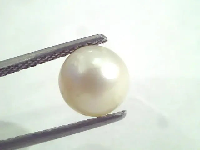 4.70 Ct Natural Certified Real South Sea Pearl,Certified Moti - Venus Gems