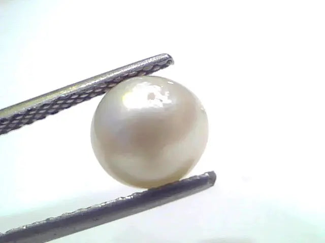 3.51 Ct Natural Certified Real South Sea Pearl Certified Moti