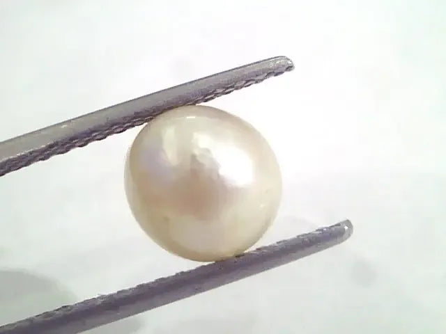 4.79 Ct Natural Certified Real South Sea Pearl,Certified Moti - Venus Gems