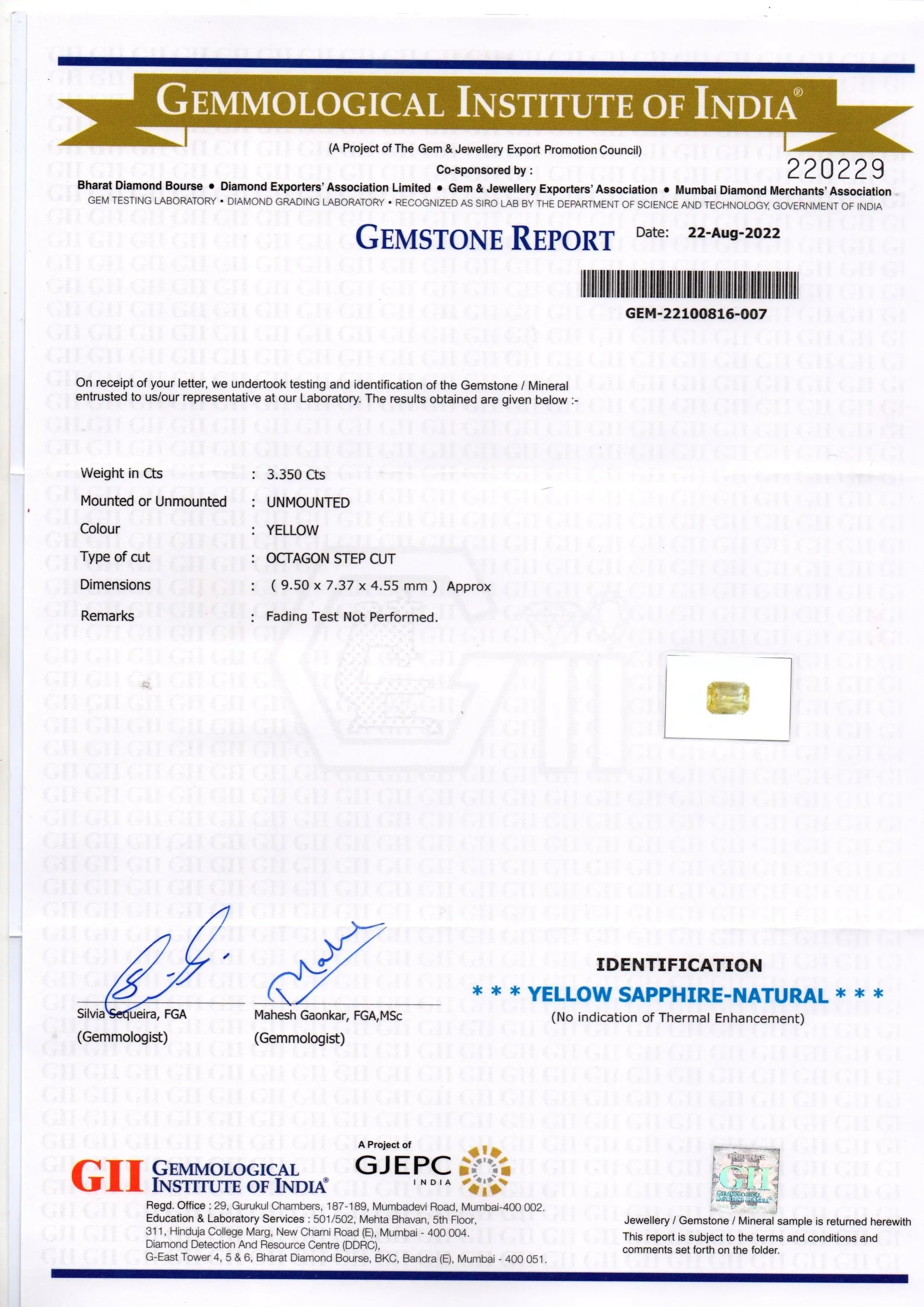 3.35 Ct GII Certified Unheated Untreated Natural Ceylon Yellow Sapphire - Venus Gems