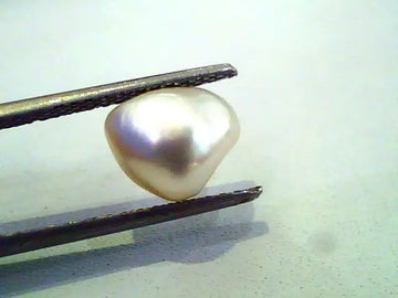 3.36 Ct Certified Natural Venunjula Real Pearl/Real Moti