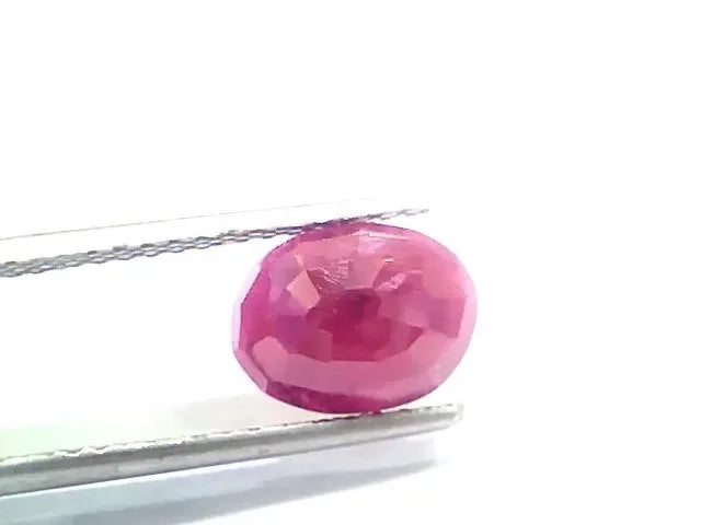 3.39 Ct Certified Unheated Untreated Natural New Burma Ruby - Venus Gems