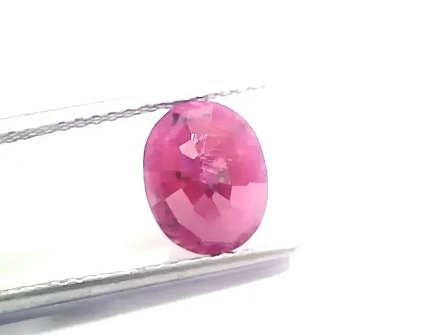 3.40 Ct Certified Unheated Untreated Natural New Burma Ruby - Venus Gems