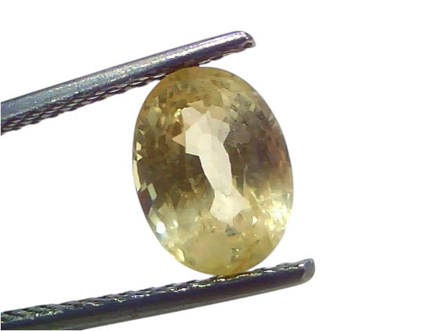 Venus Gems 3.39 carat oval mixed cut natural yellow sapphire from Ceylon held in metal tweezers