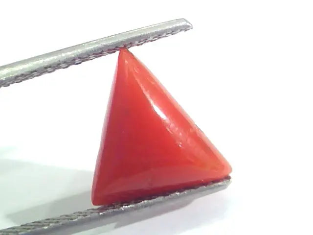 3.45 Ct 5.75 Ratti Natural Italian Triangle Red Coral Moonga Gemstone