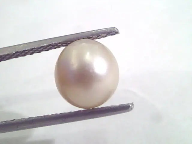 4.83 Ct Natural Certified Real South Sea Pearl,Certified Moti