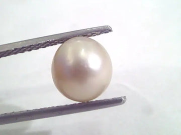 4.83 Ct Natural Certified Real South Sea Pearl,Certified Moti