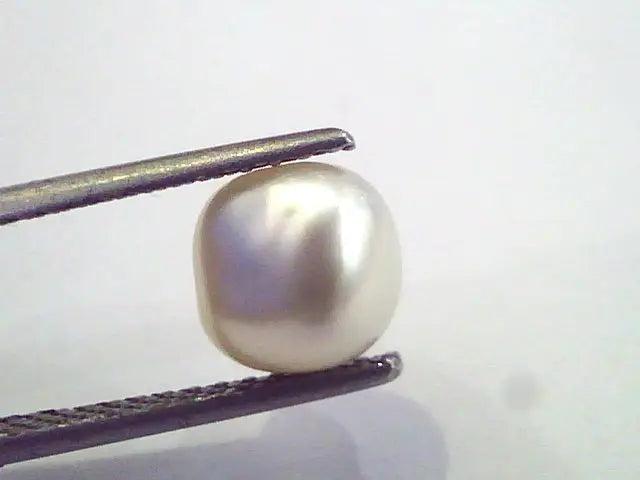 3.42 Ct Certified Natural Venunjula Real Pearl/Real Moti For Moon