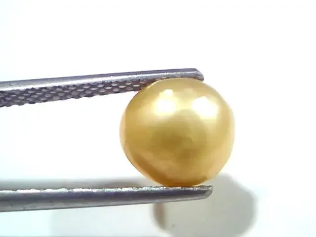 3.41 Ct Certified Natural Venunjula Real Sea Pearl, Real Moti - Venus Gems