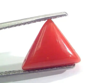 3.48 Ct 5.8 Ratti Natural Italian Triangle Red Coral Moonga Gemstone