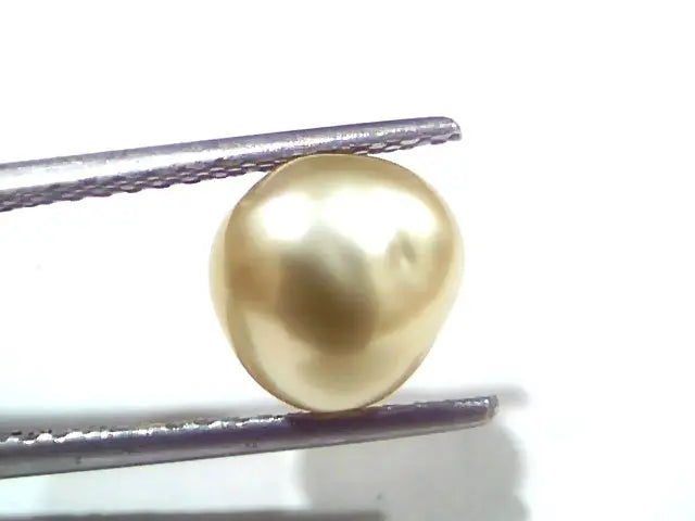 3.46 Ct Certified Natural Venunjula Real Sea Pearl, Real Moti