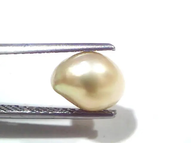 3.47 Ct Certified Natural Venunjula Real Sea Pearl, Real Moti