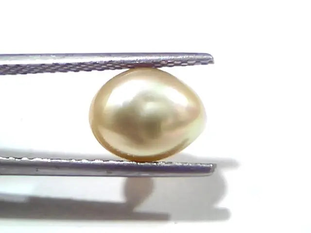 3.47 Ct Certified Natural Venunjula Real Sea Pearl, Real Moti