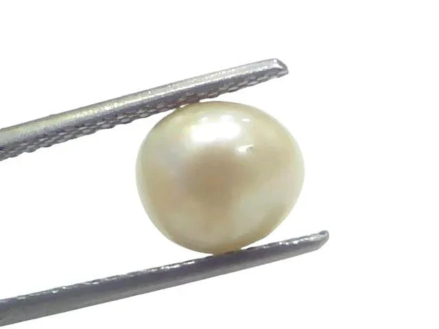 3.48 Ct Certified Natural Venunjula Real Sea Pearl Real Moti For Moon - Venus Gems