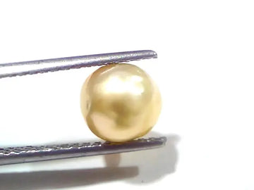 3.49 Ct Certified Natural Venunjula Real Sea Pearl, Real Moti