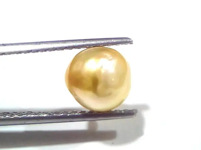 3.49 Ct Certified Natural Venunjula Real Sea Pearl, Real Moti