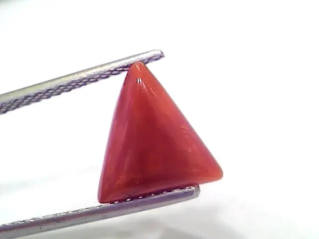3.57 Ct 5.95 Ratti Natural Italian Triangle Red Coral Moonga Gemstone