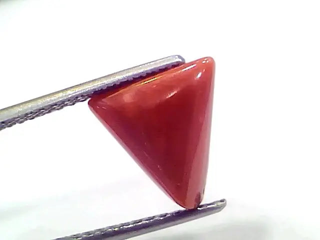 3.57 Ct 5.95 Ratti Natural Italian Triangle Red Coral Moonga Gemstone
