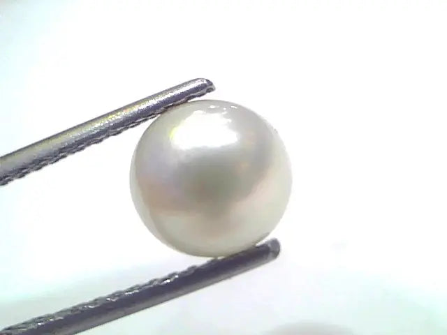 3.55 Ct Natural Certified Real South Sea Pearl Certified Moti